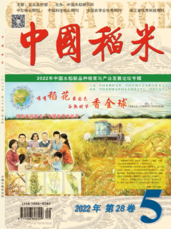 中國(guó)稻米_副本.png