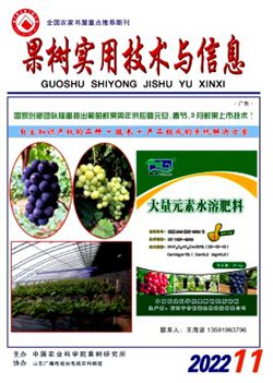 果樹實(shí)用技術(shù)與信息_副本.jpg