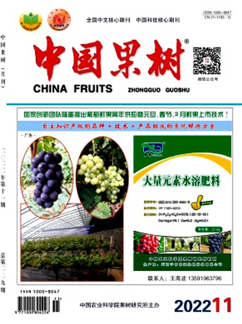 中國(guó)果樹(shù).png