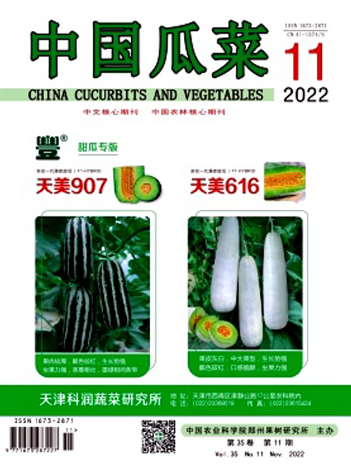 中國(guó)瓜菜.png