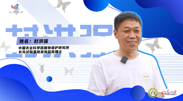 【一線(xiàn)調(diào)研·青春有為】一座海島，一群博士，二十年接力只為一件事