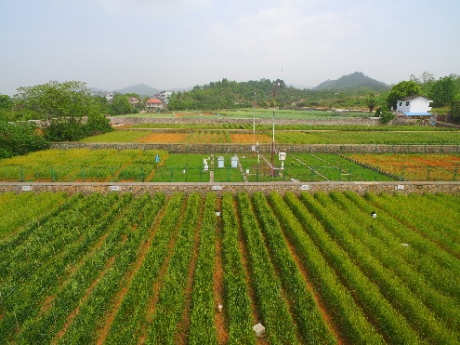 2 面向國家重大需求，突破一批關鍵核心技術1074.png