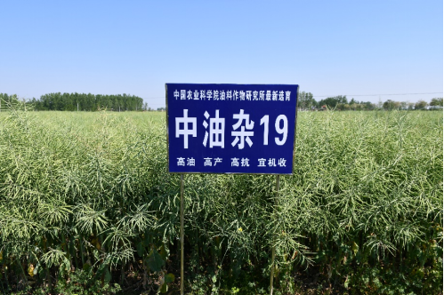 3 面向現(xiàn)代農(nóng)業(yè)建設(shè)主戰(zhàn)場(chǎng)，創(chuàng)制一批重大產(chǎn)品690.png