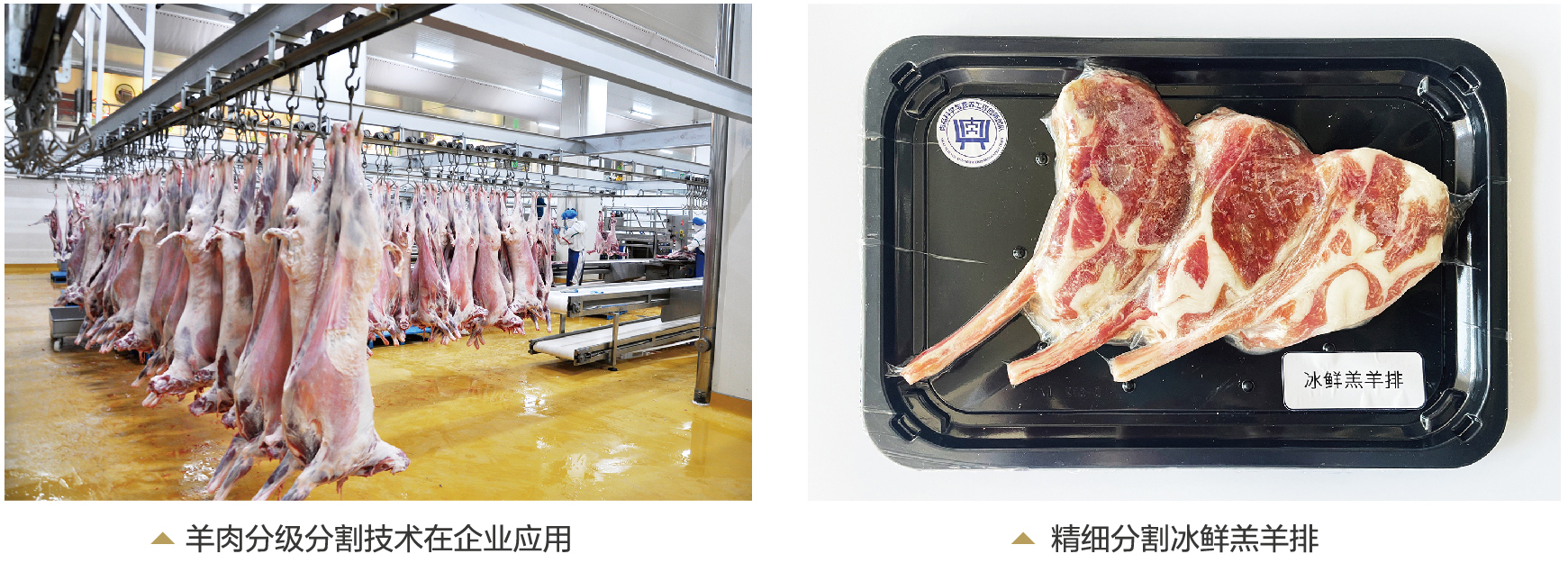 精準分割梯次加工，引領(lǐng)羊肉加工業(yè)跨越發(fā)展