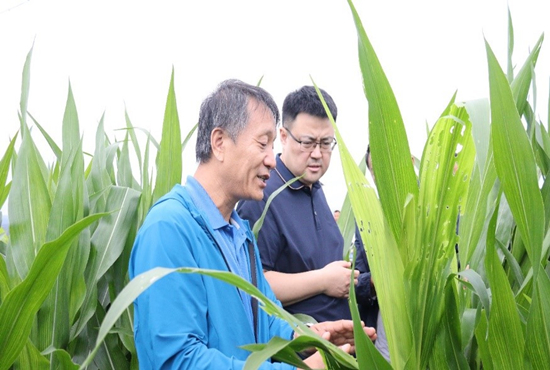 植保-防洪_(kāi)副本.jpg