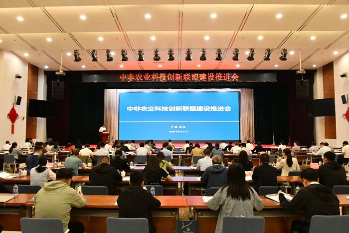 zhongfei700.jpg
